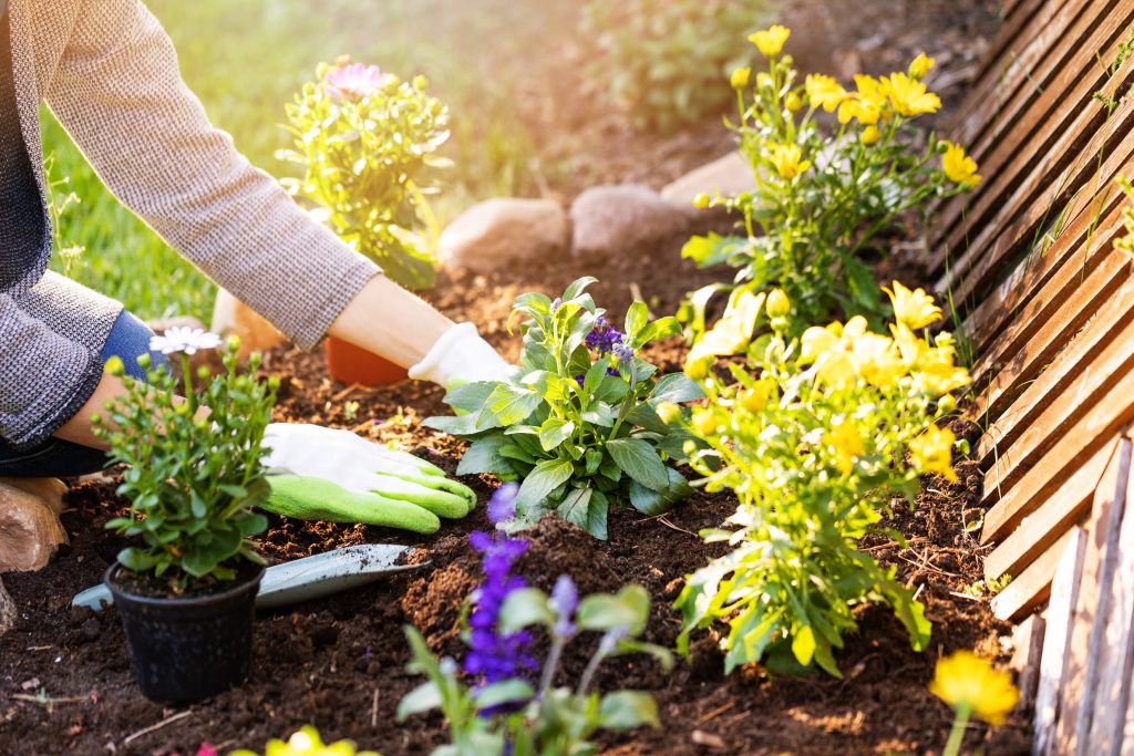 Six safety tips in the garden