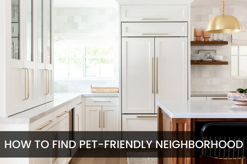 How to Find a Pet-Friendly Neighborhood